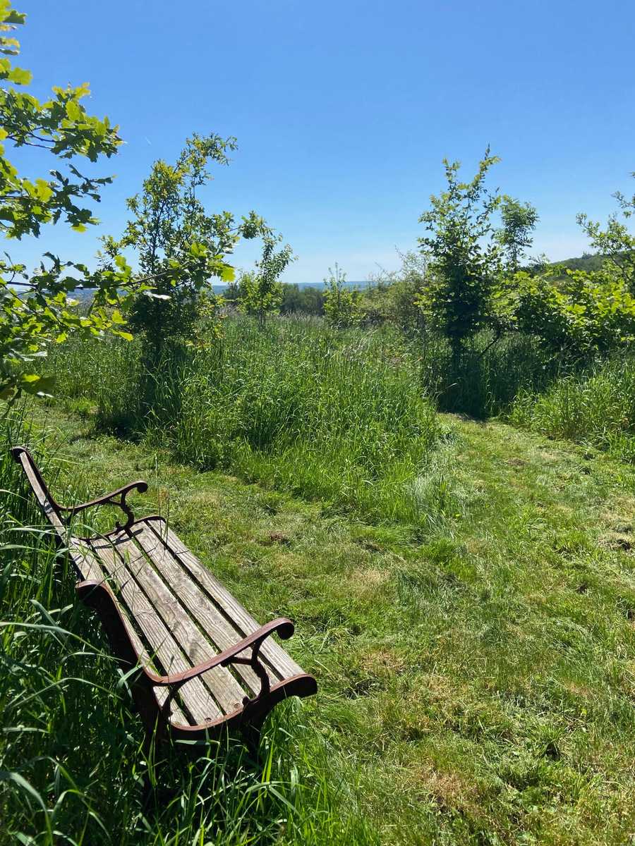 Vegan B&B in the Charente Limousine, rural France - Bedroom 1, GF