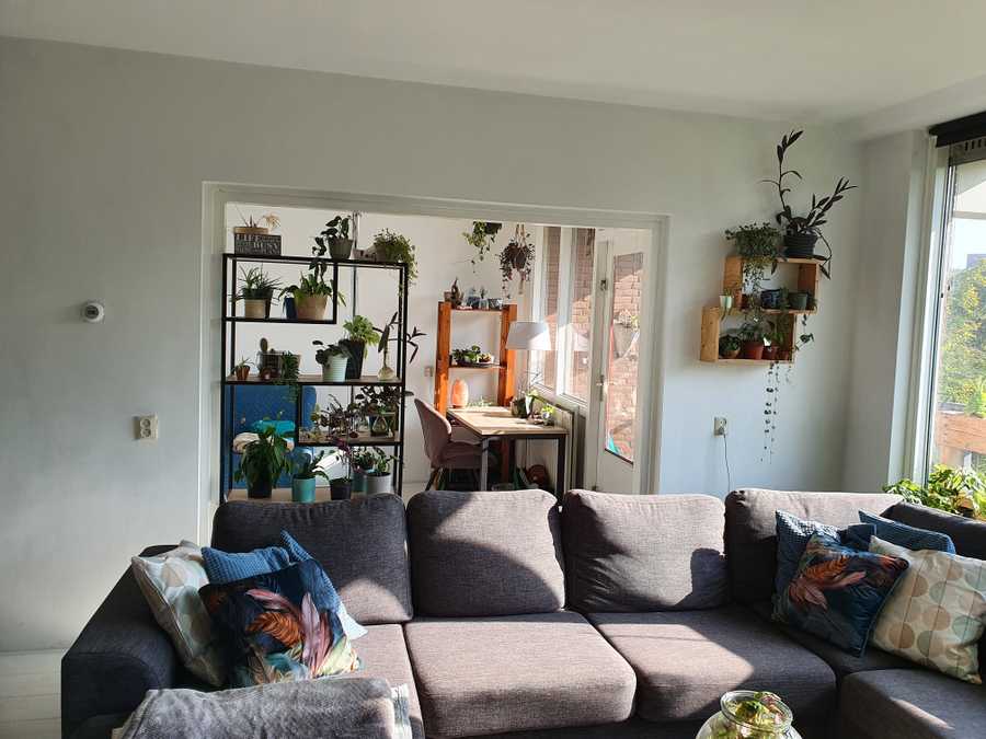 Beautiful vegan home in amsterdam