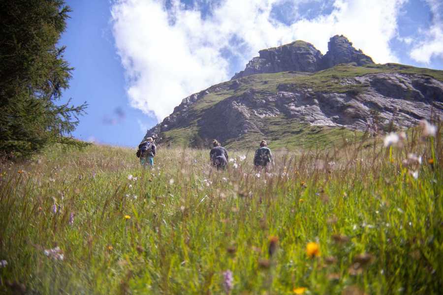  A remote mountain retreat, with daily yoga and guided hikes
