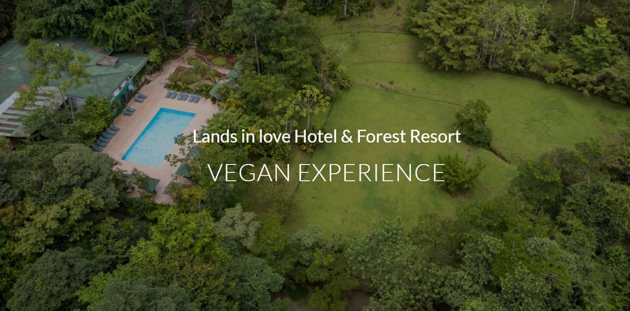 Lands in love hotel & forest resort 