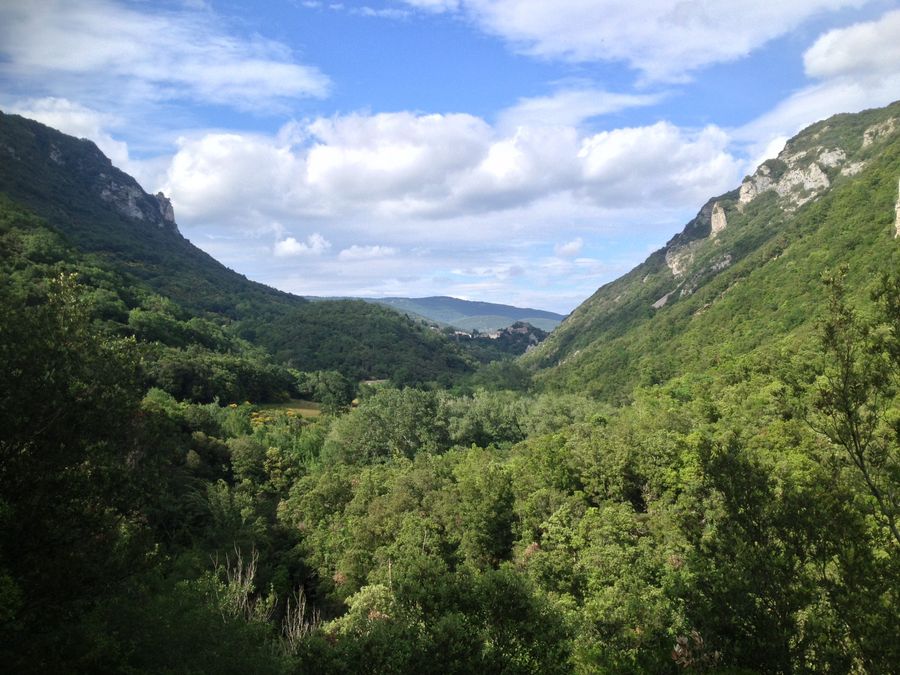 Back to Nature at the Mill!
