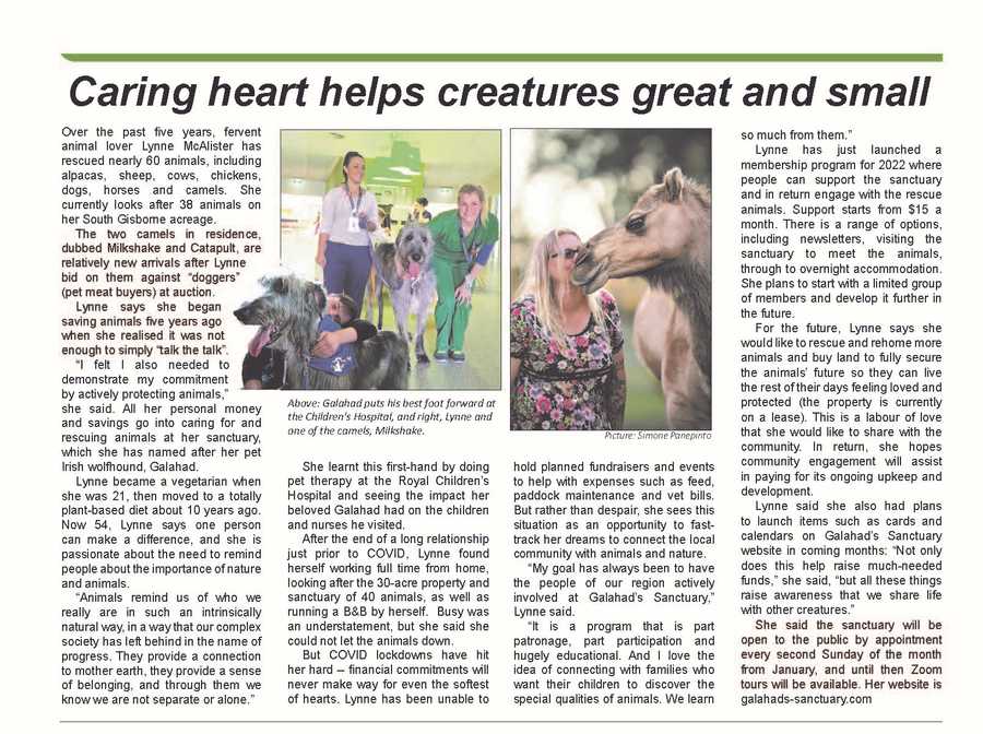 Galahad's Animal Sanctuary B&B