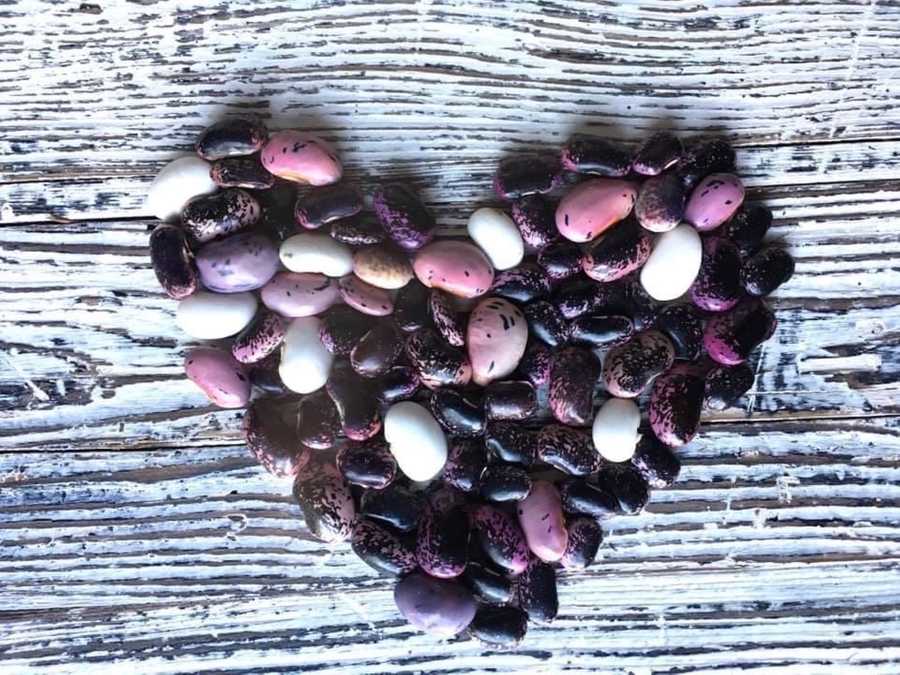 Varm - the vegan farm - a kind of sanctuary for animals and humans