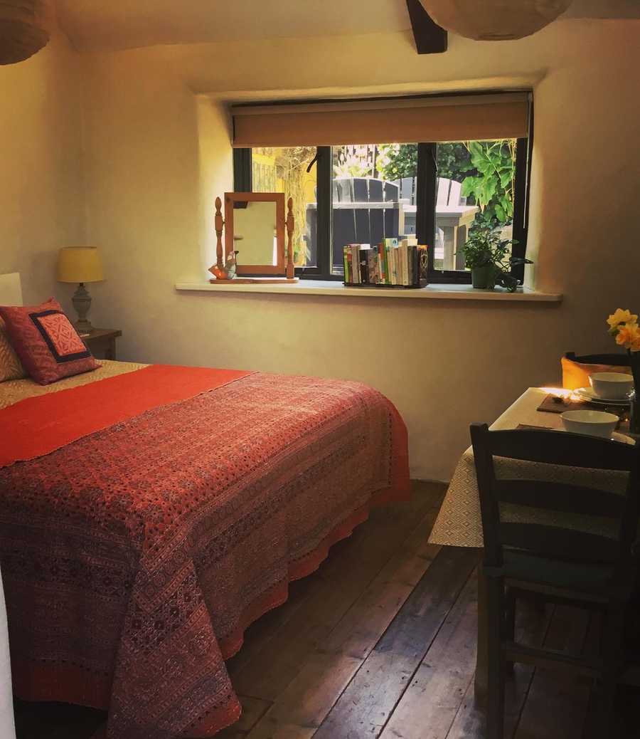 Planted vegan studio Cornwall.
