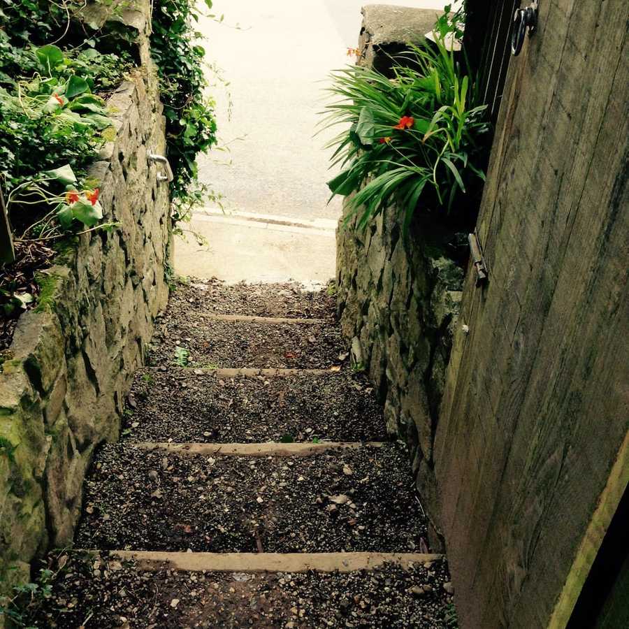 Planted vegan studio Cornwall.