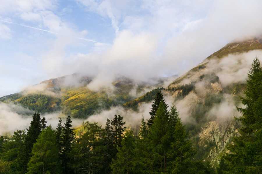 A remote mountain retreat, with daily yoga and guided hikes.