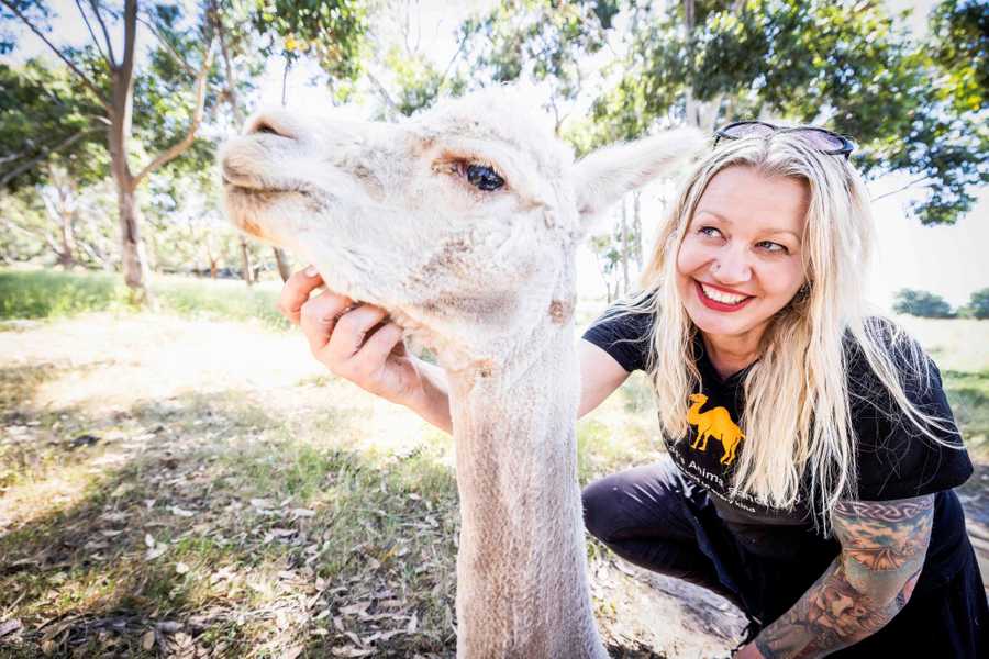 Galahad's Animal Sanctuary B&B