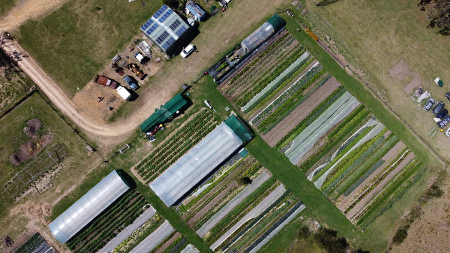 Organic Veggie Farm Camping