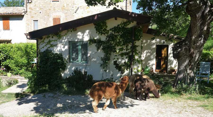 Nelle terre di San Francesco