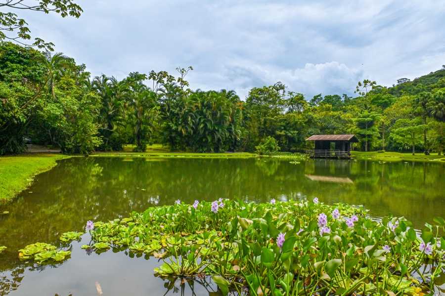 Lands in love hotel & forest resort 