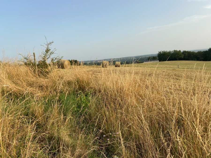 Vegan B&B in the Charente Limousine, rural France - additional bedroom 