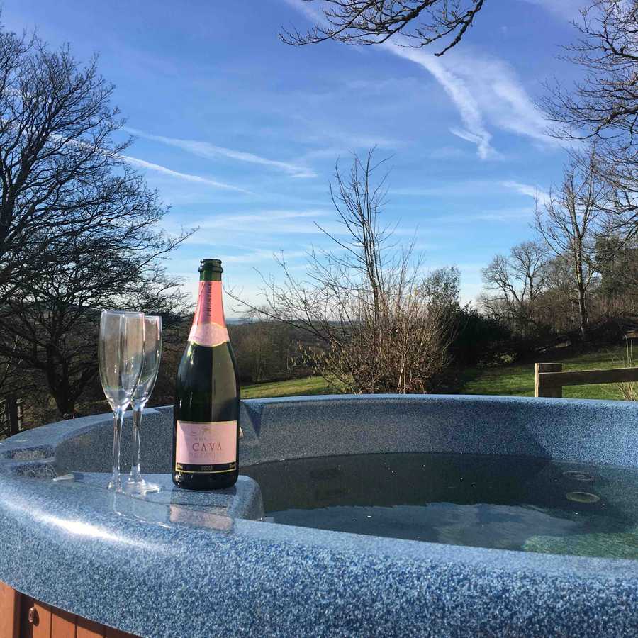 Magical 18th thatched cottage with stunning views, amazing vegan meals & hot tub