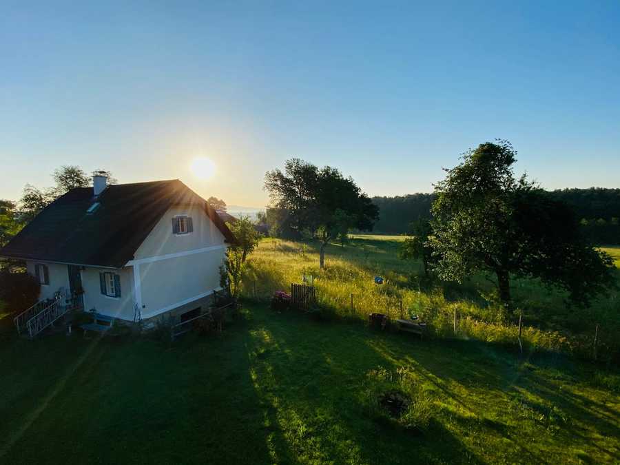 Varm - the vegan farm - a kind of sanctuary for animals and humans