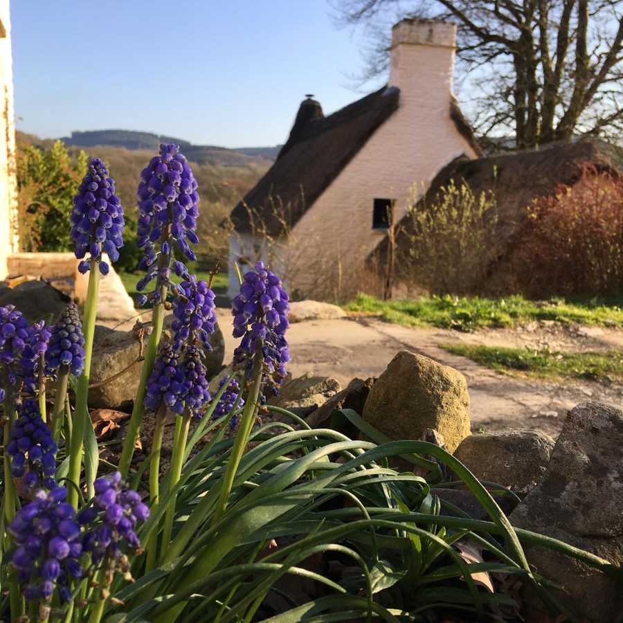 Magical 18th thatched cottage with stunning views, amazing vegan meals & hot tub