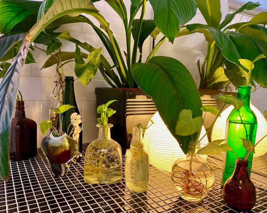 Relaxed & Leafy with Private Courtyard, Airport 15 min, City 3km