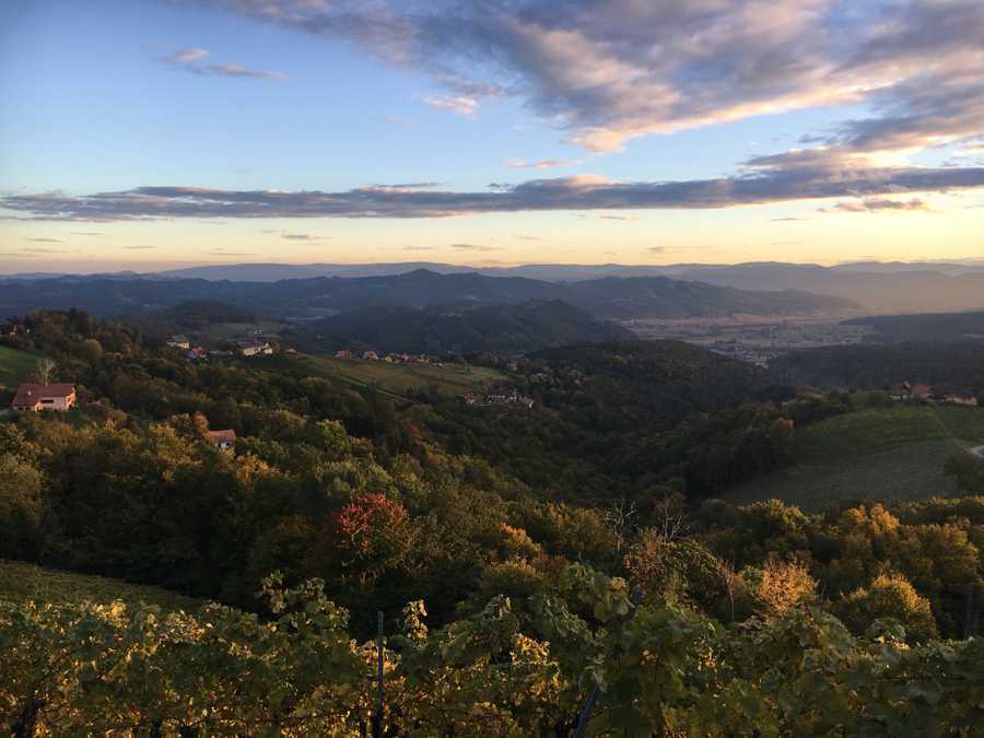 Varm - the vegan farm - a kind of sanctuary for animals and humans