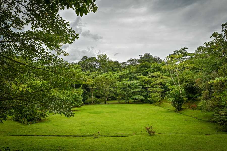 Lands in love hotel & forest resort 