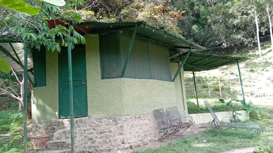 Private room or guesthouse on our VEGAN Animal Sanctuary