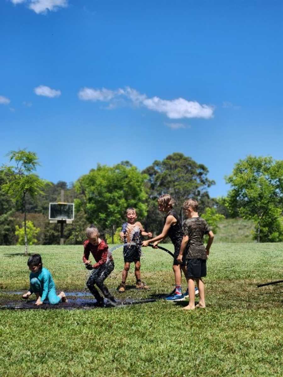 Organic Veggie Farm Camping