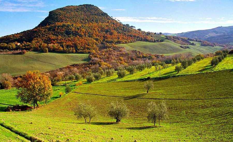 Suite Castello, central beautyhome in the historic center, with 100% vegan meals