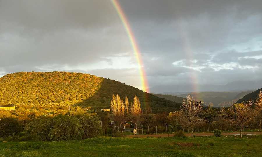 The Top House @ Ricky's Drift Vegan Farm and Animal Sanctuary