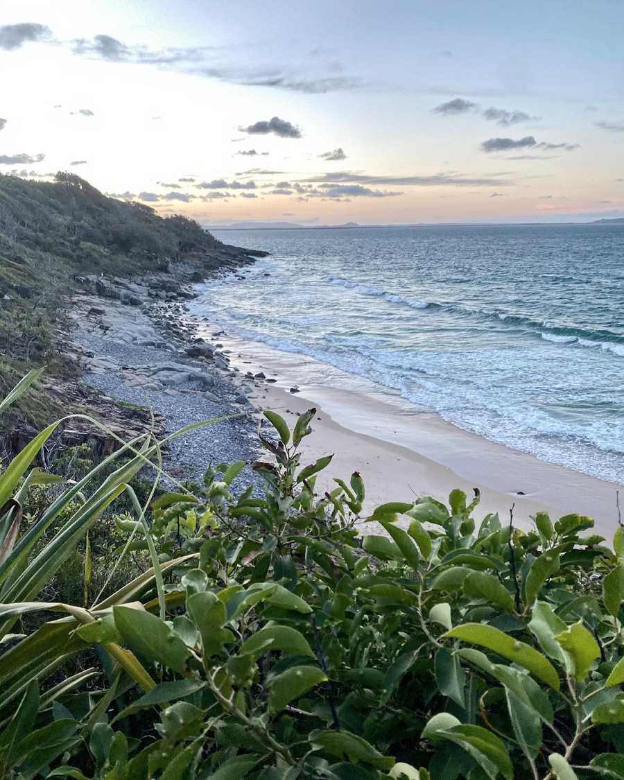 Tranquil Vegan B&B in Noosa region.  In house hospitality and charm 