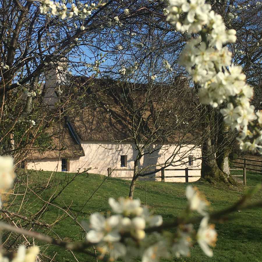 Magical 18th thatched cottage with stunning views, amazing vegan meals & hot tub