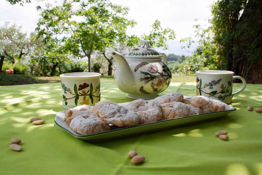 100% Vegan B&B near Assisi with Pool & Wellness