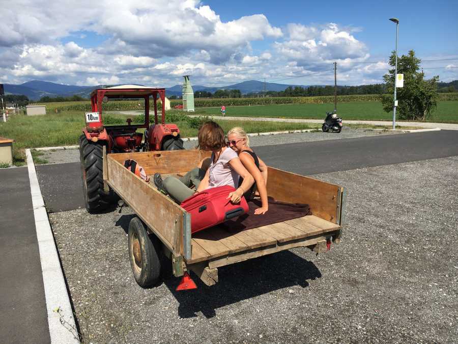 Varm - the vegan farm - a kind of sanctuary for animals and humans