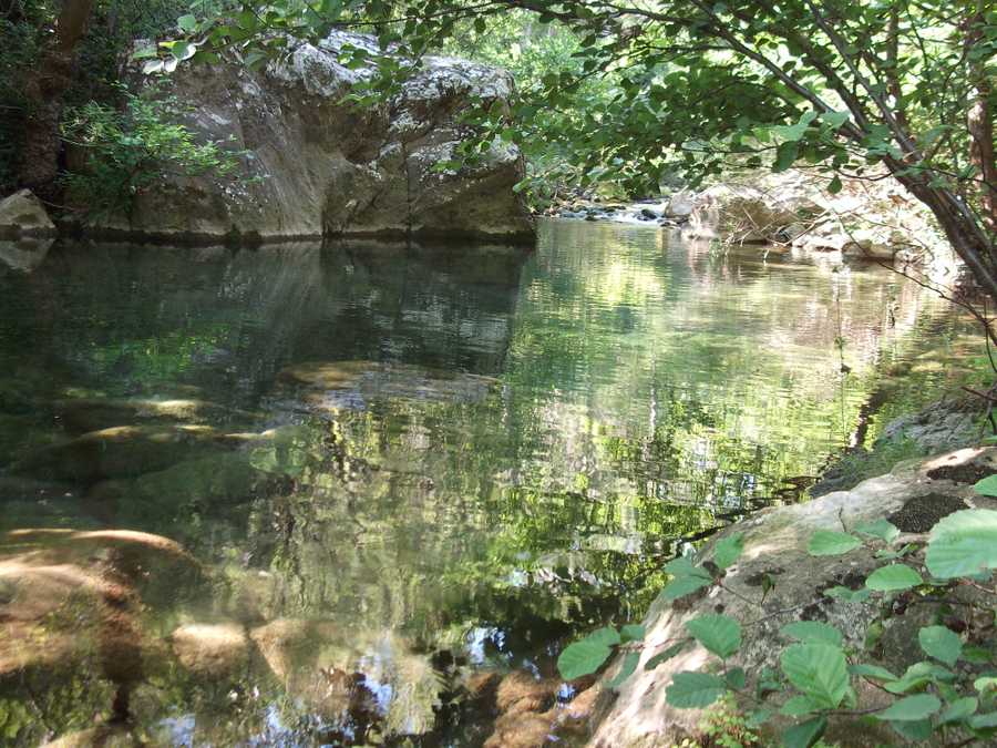 Back to Nature at the Mill!
