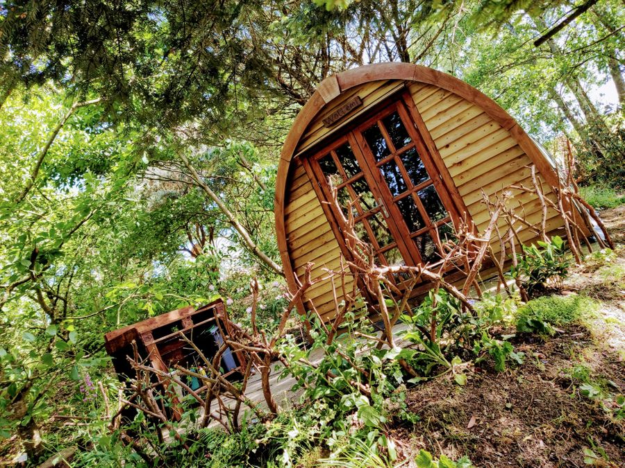 'Wollemia' The Peaceful Pod