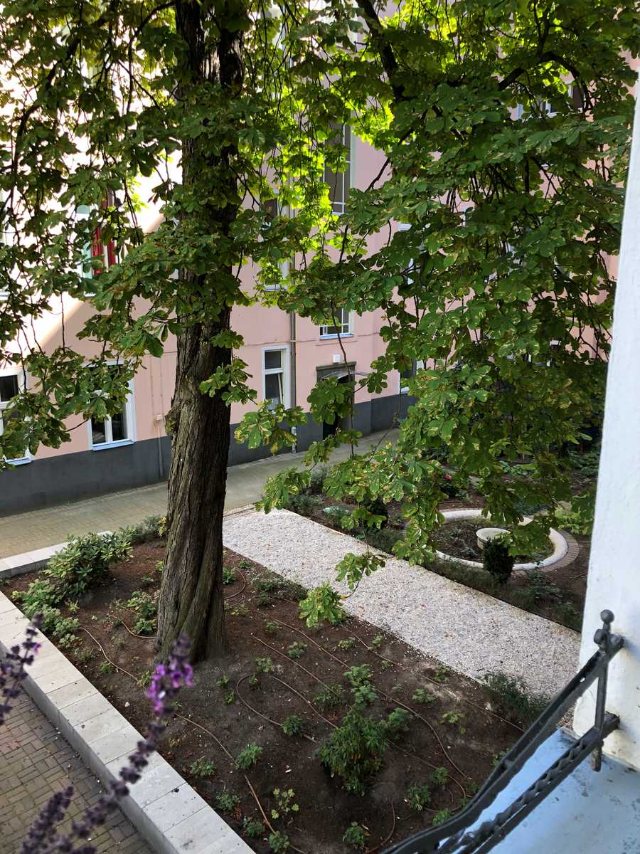 3 room apartment in Charlottenburg for long-term only