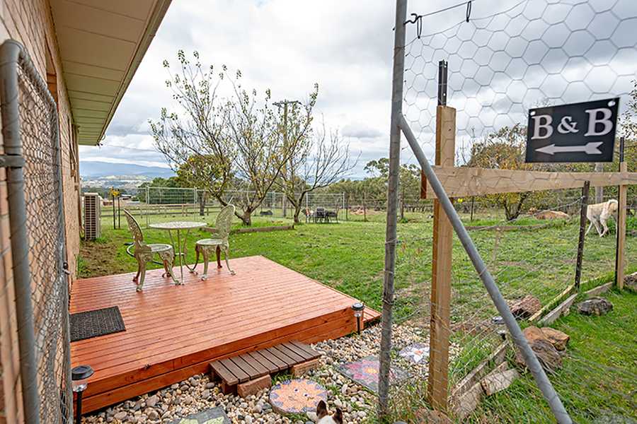Galahad's Animal Sanctuary B&B