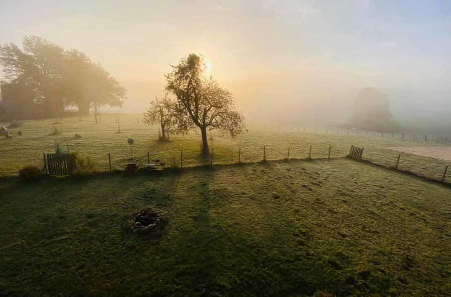 Varm - the vegan farm - a kind of sanctuary for animals and humans