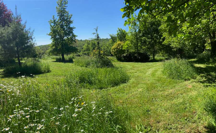 Vegan B&B in the Charente Limousine, rural France - additional bedroom 