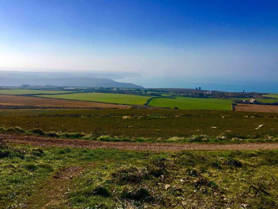 Planted vegan studio Cornwall.