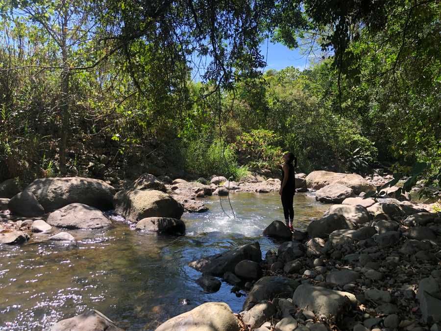 Private room or guesthouse on our VEGAN Animal Sanctuary