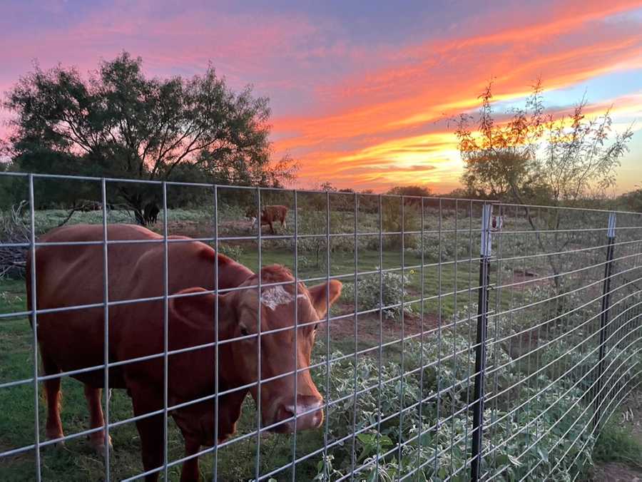 Barn Bunkhouse with Upper Deck & Sunset Views of the Sanctuary