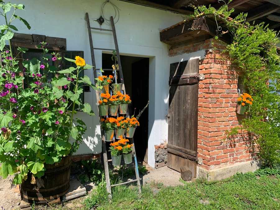 Varm - the vegan farm - a kind of sanctuary for animals and humans