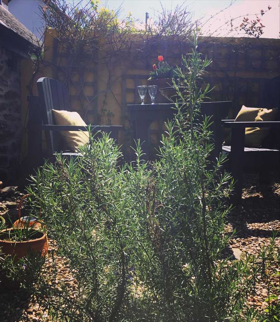 Planted vegan studio Cornwall.