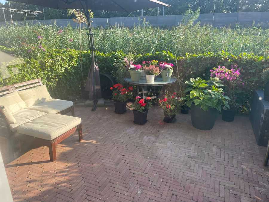 Comfy spacious whole house close to the train. Long term stayer, January-March!