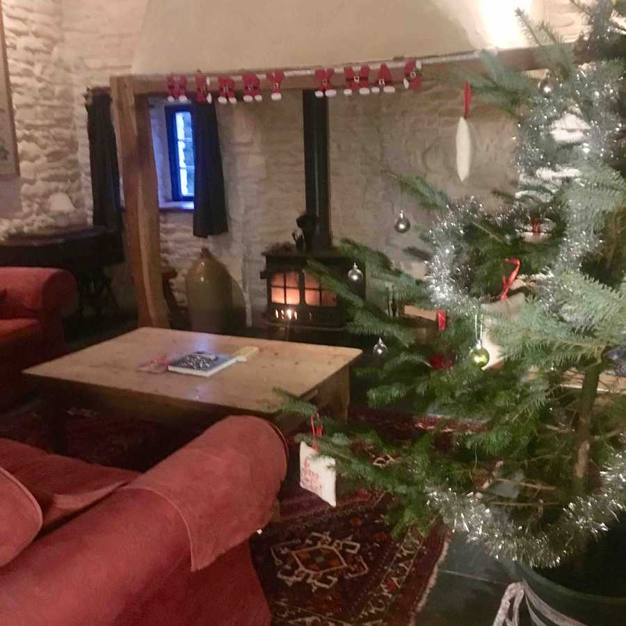 Magical 18th thatched cottage with stunning views, amazing vegan meals & hot tub