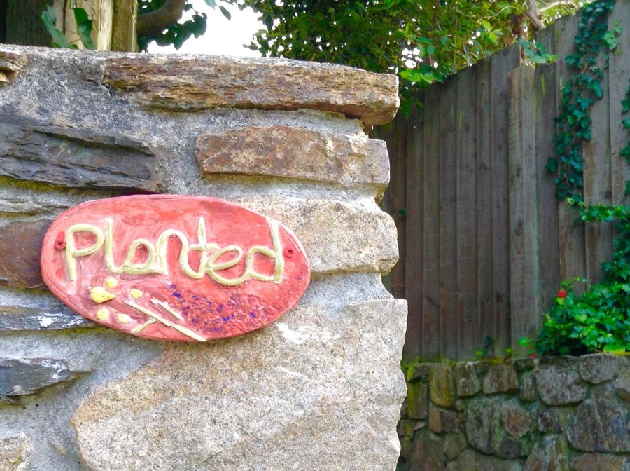 Planted vegan studio Cornwall.