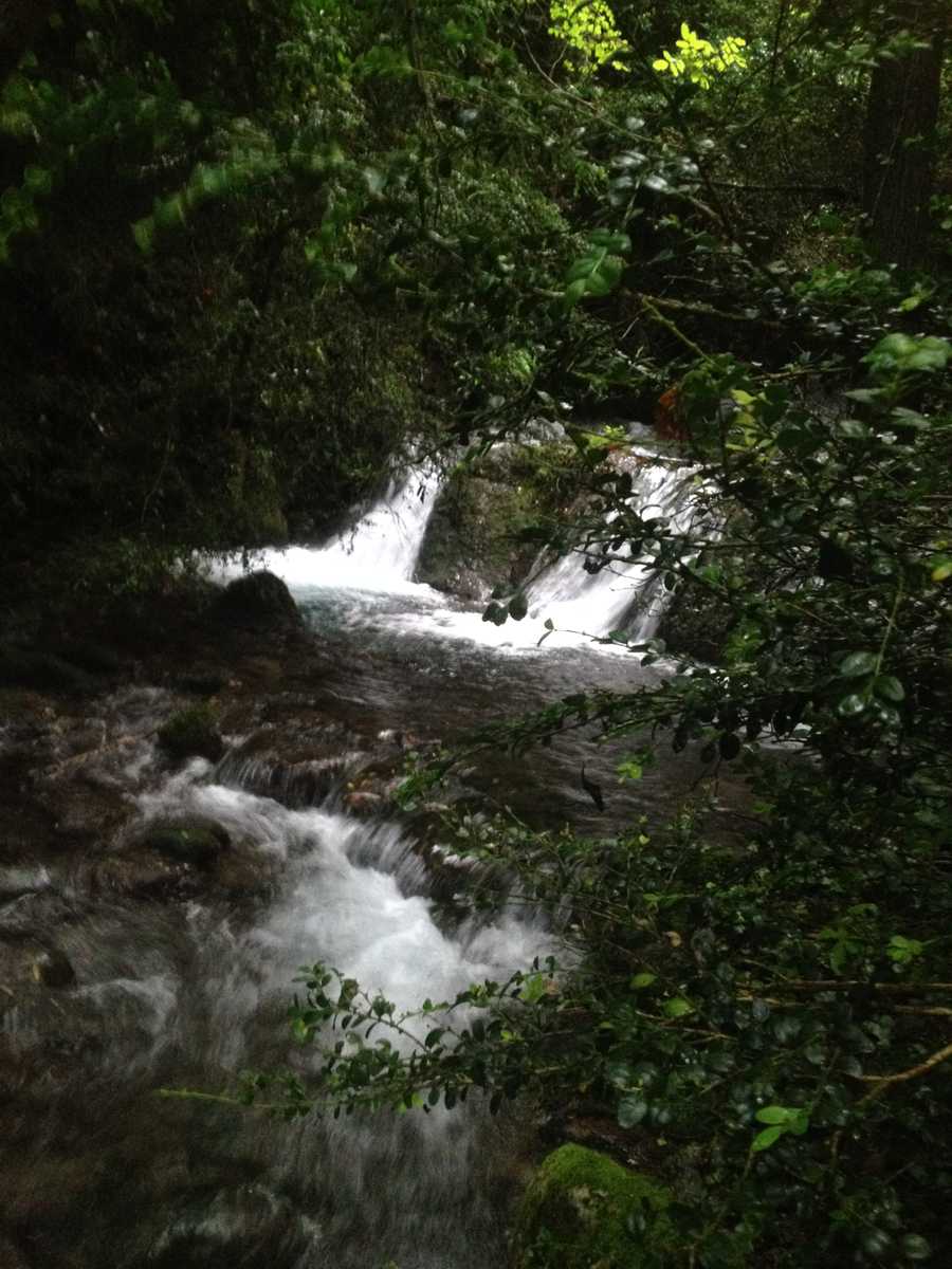 Back to Nature at the Mill!