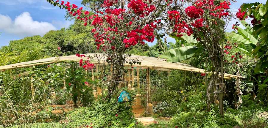 Affordable Vacation for the Healthy Lifestyle & Natural Healing Center