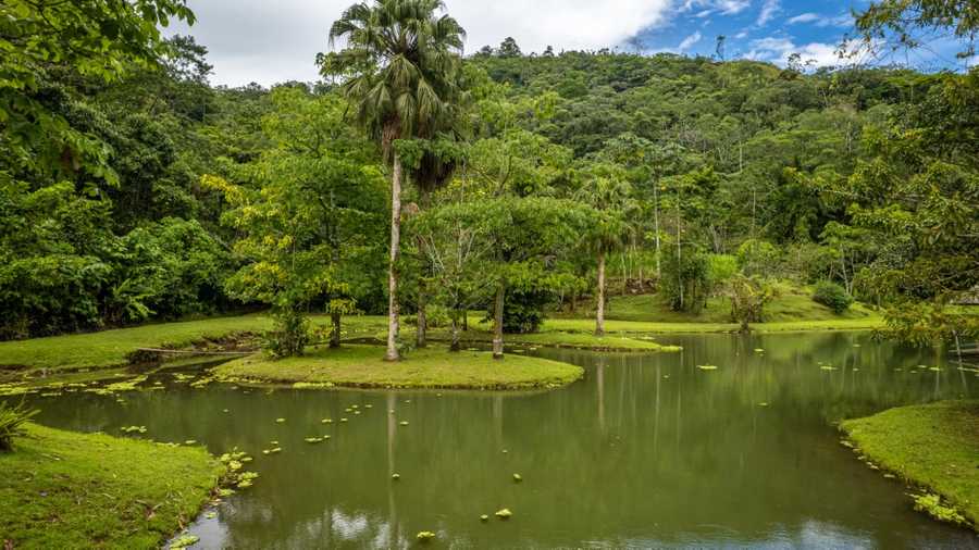 Lands in love hotel & forest resort 
