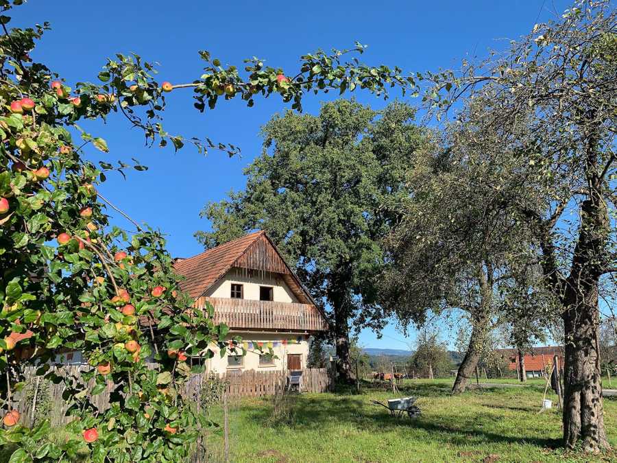 Varm - the vegan farm - a kind of sanctuary for animals and humans