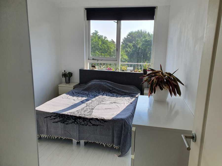 Beautiful vegan home in amsterdam
