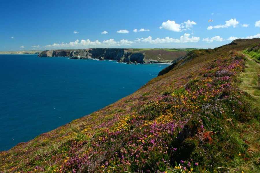 Planted vegan studio Cornwall.