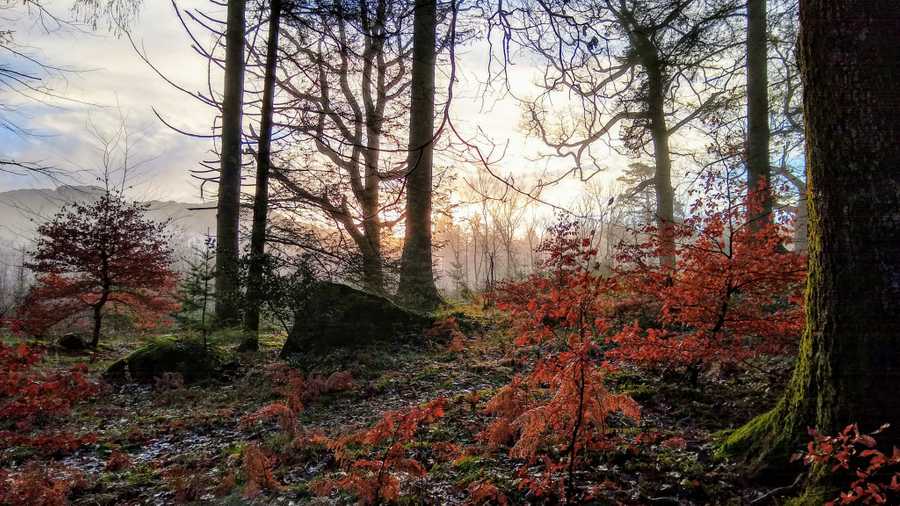 Stay in the heart of the lake district. England's latest World Heritage Site.